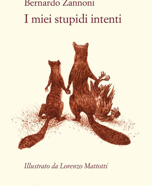 I miei stupidi intenti