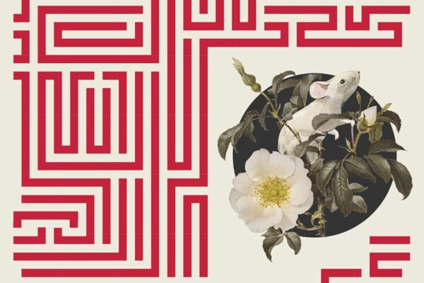 Fiori per Algernon